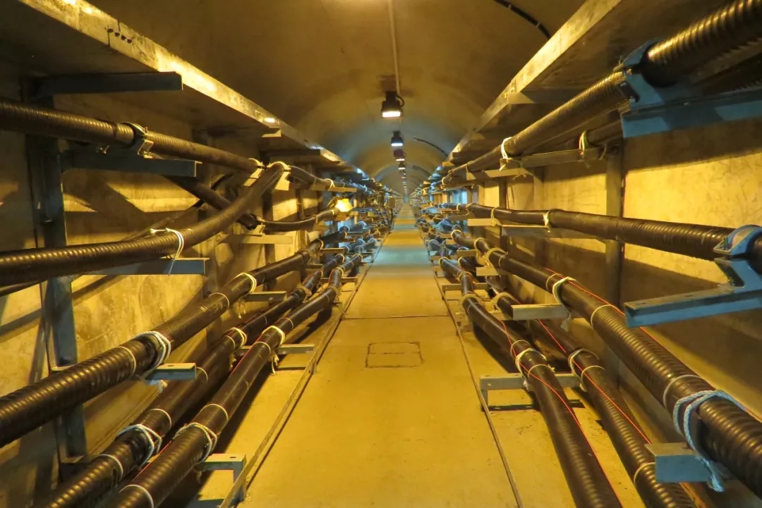 春梦直播（dōng）電纜廠有限公司