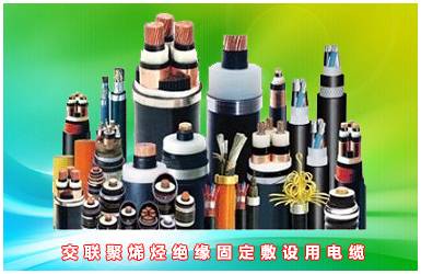 春梦直播電(diàn)纜廠有限公司 春梦直播電纜廠有限(xiàn)公司