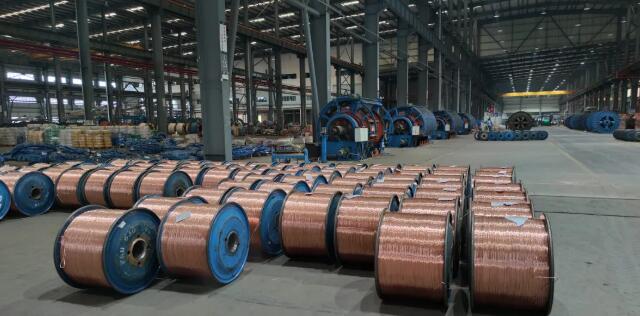 廣（guǎng）東電纜廠有限（xiàn）公司